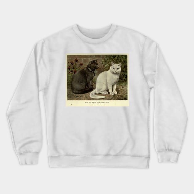 Vintage Grey & White Short-Haired Cat Painting (1902) Crewneck Sweatshirt by Bravuramedia